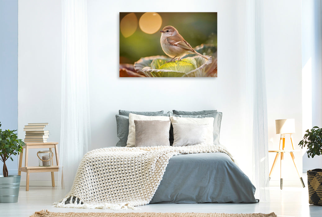 Premium Textil-Leinwand Ein Moment zwischen Atem und Eleganz.
