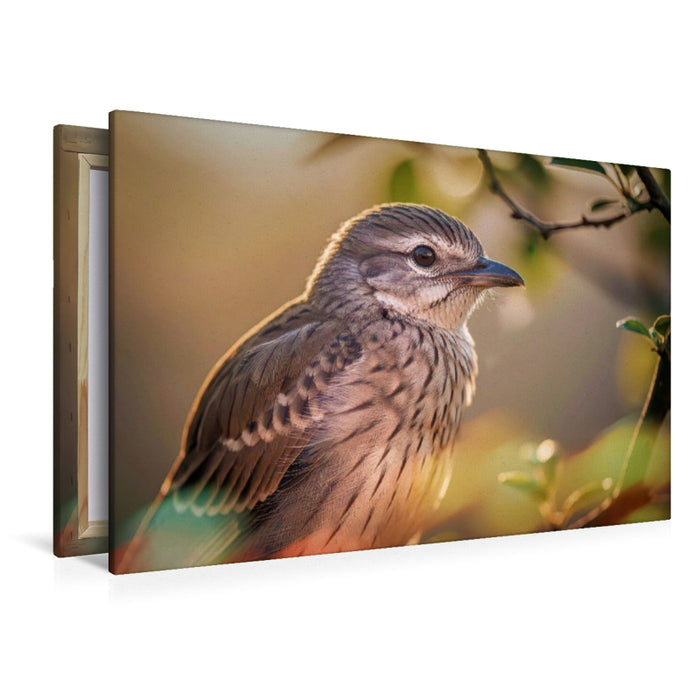 Premium Textil-Leinwand Ein Motiv aus dem Kalender Besondere Vogelportraits