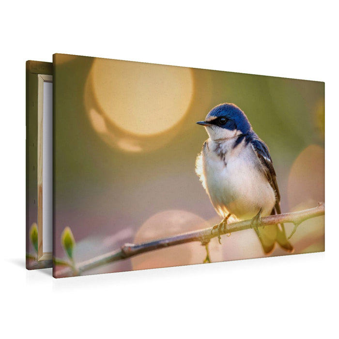 Premium Textil-Leinwand Portrait der Leichtigkeit, Natur, die sich selbst malt.