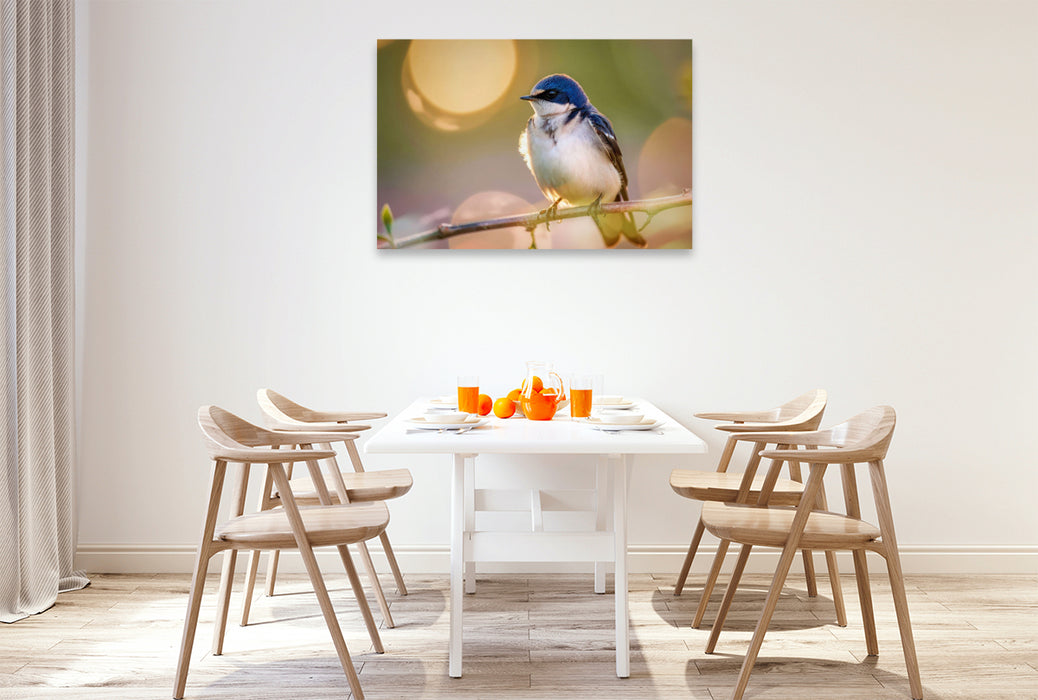 Premium Textil-Leinwand Portrait der Leichtigkeit, Natur, die sich selbst malt.