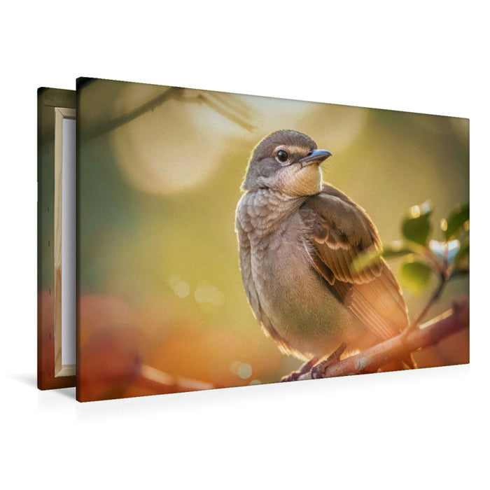 Premium Textil-Leinwand Feder für Feder, ein Portrait, das Nähe schafft.