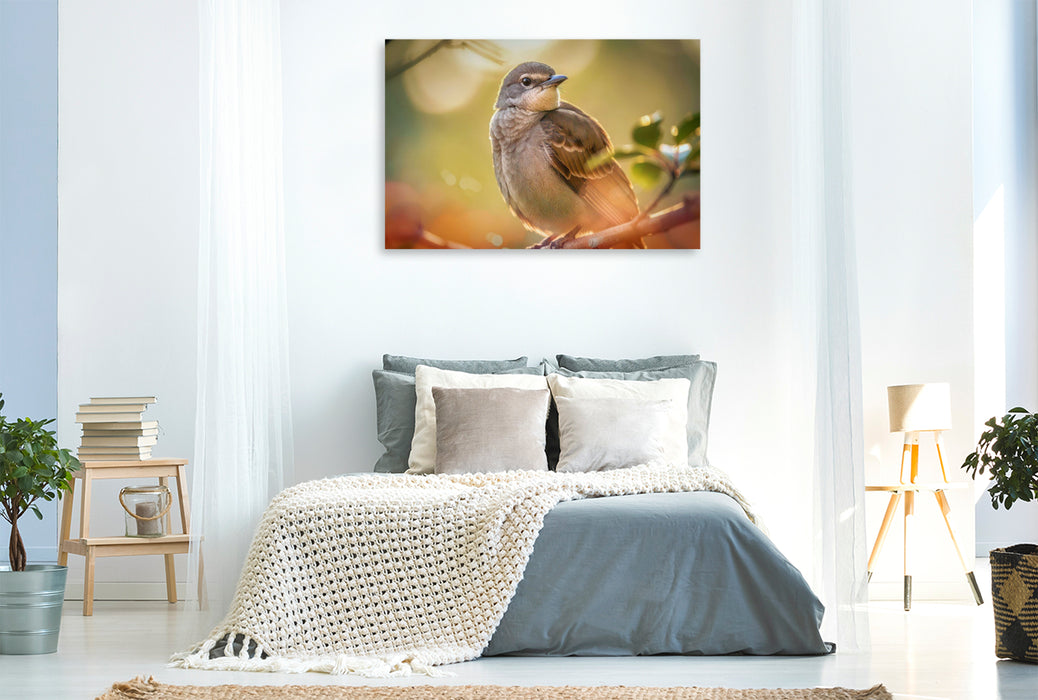 Premium Textil-Leinwand Feder für Feder, ein Portrait, das Nähe schafft.