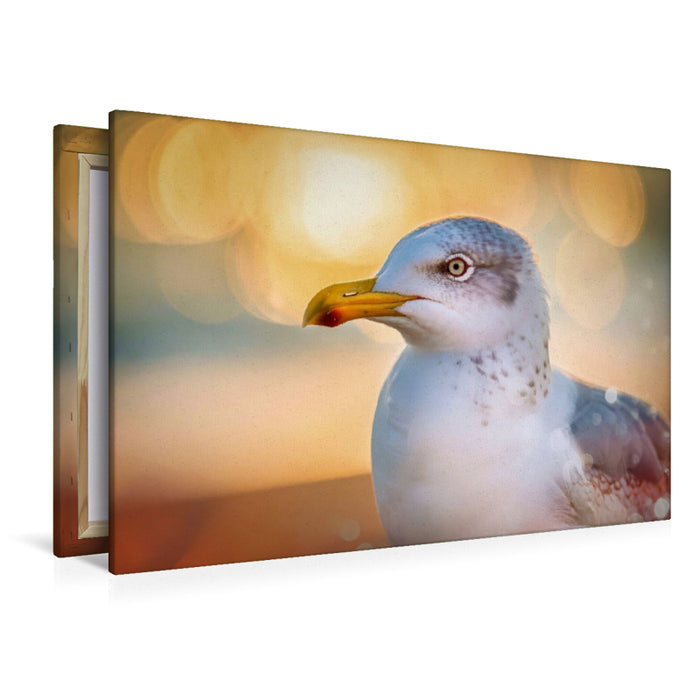 Premium Textil-Leinwand Gefieder im Spotlight, starke Farben, klare Formen.