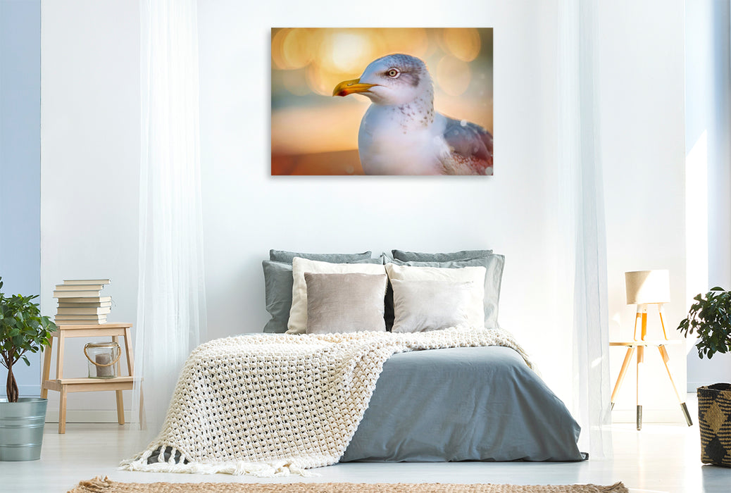 Premium Textil-Leinwand Gefieder im Spotlight, starke Farben, klare Formen.