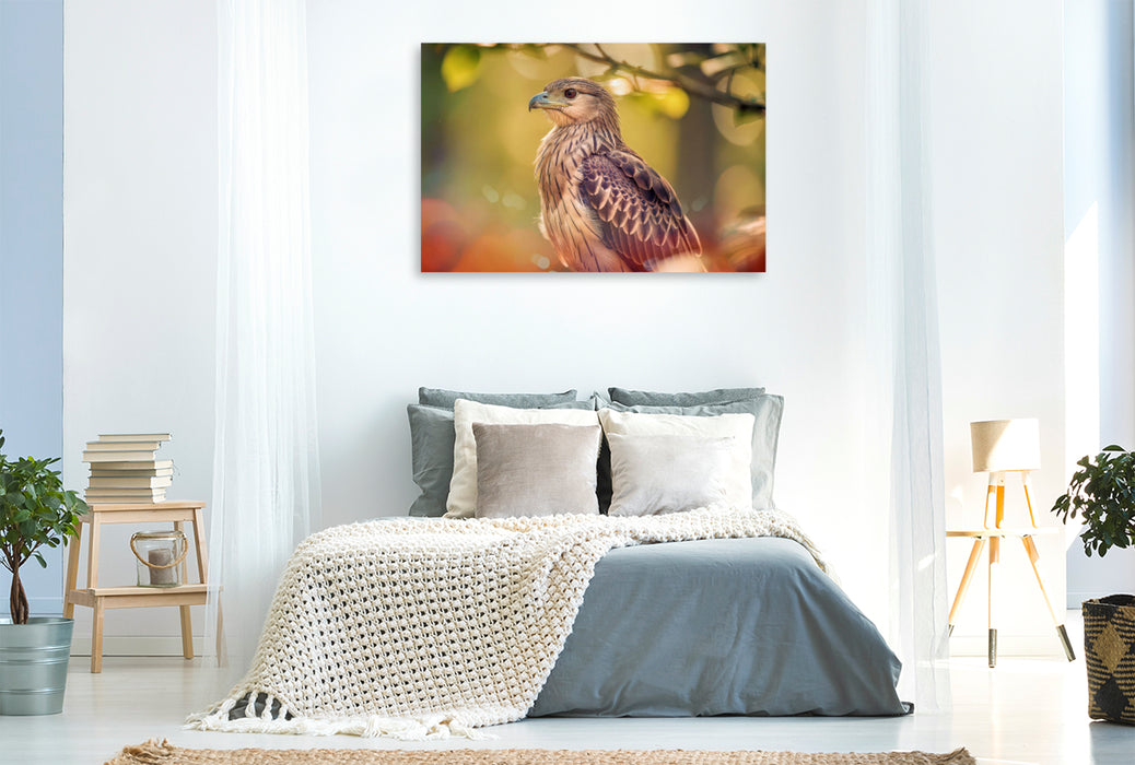 Premium Textil-Leinwand Farbgesichter der Natur, jeder Vogel ein Charakter.