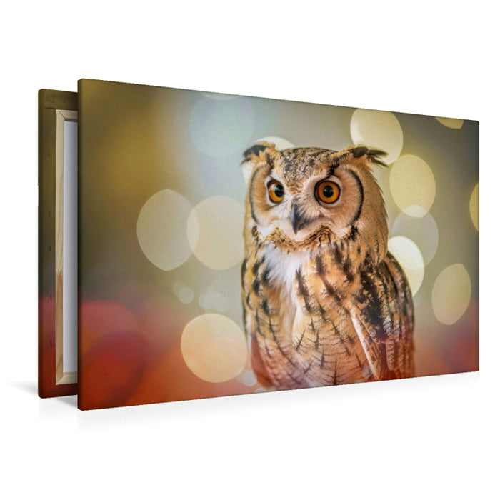 Premium Textil-Leinwand Ein Motiv aus dem Kalender Besondere Vogelportraits