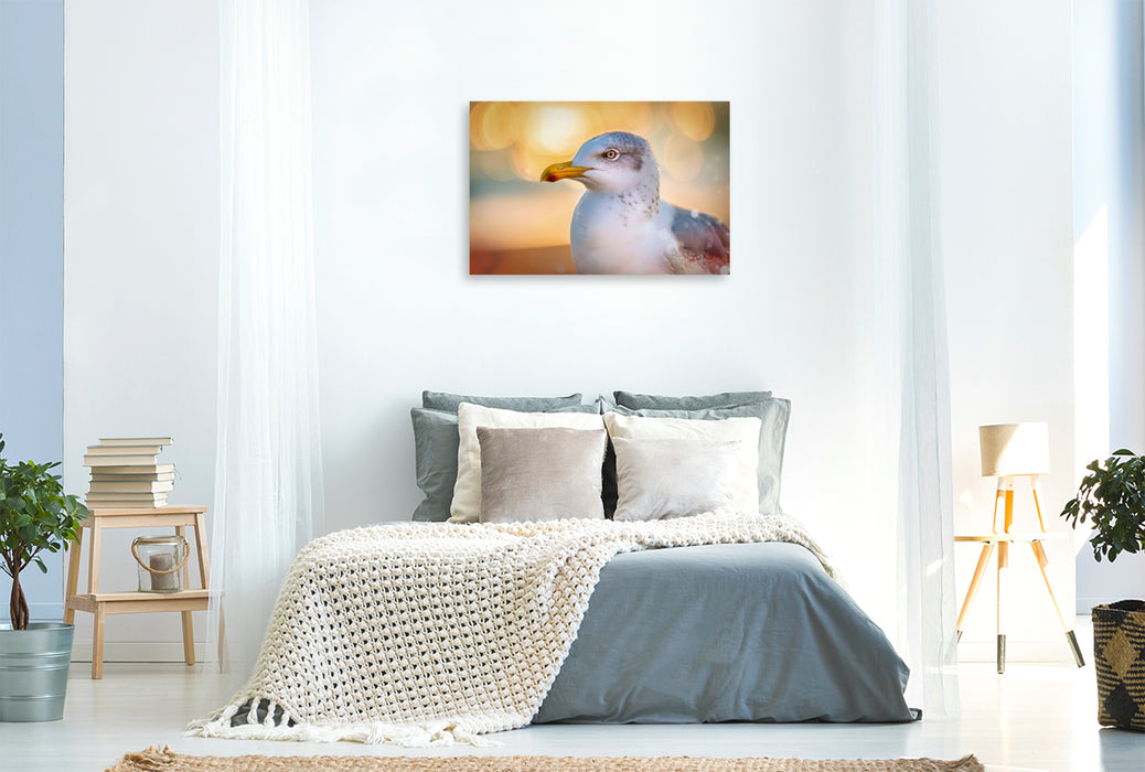 Premium Textil-Leinwand Gefieder im Spotlight, starke Farben, klare Formen.