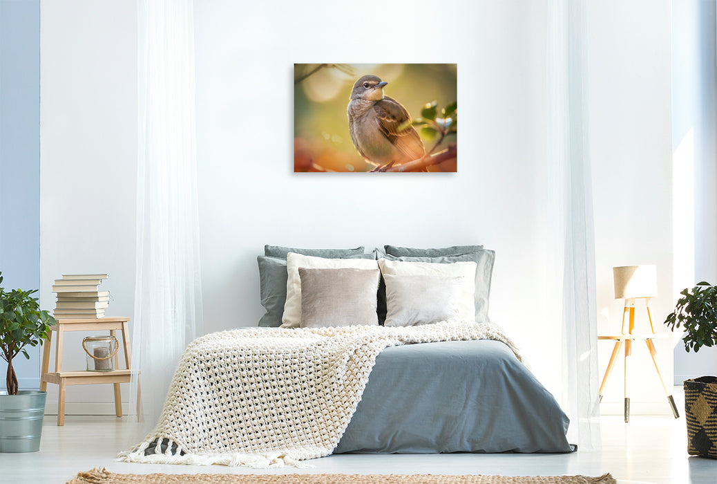 Premium Textil-Leinwand Feder für Feder, ein Portrait, das Nähe schafft.