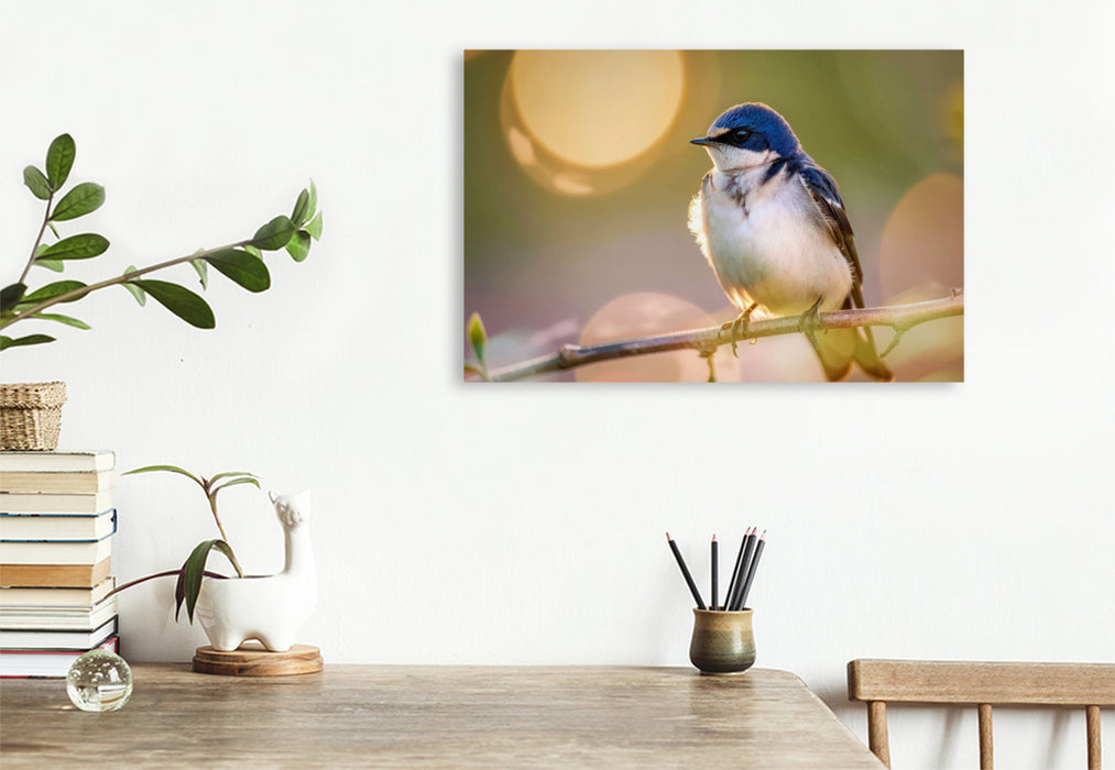 Premium Textil-Leinwand Portrait der Leichtigkeit, Natur, die sich selbst malt.