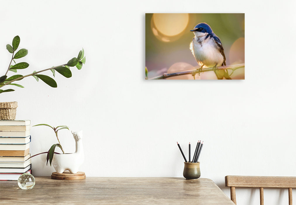 Premium Textil-Leinwand Portrait der Leichtigkeit, Natur, die sich selbst malt.
