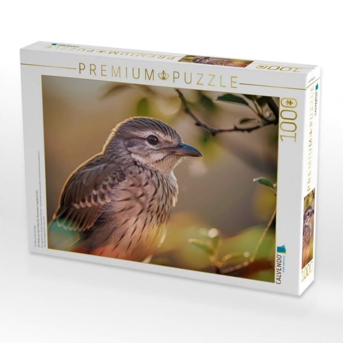 Ein Motiv aus dem Kalender Besondere Vogelportraits - CALVENDO Foto-Puzzle'