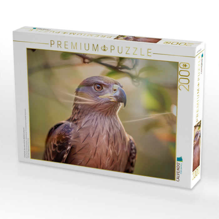 Schönheit, die man erst im Nahblick erkennt. - CALVENDO Foto-Puzzle'