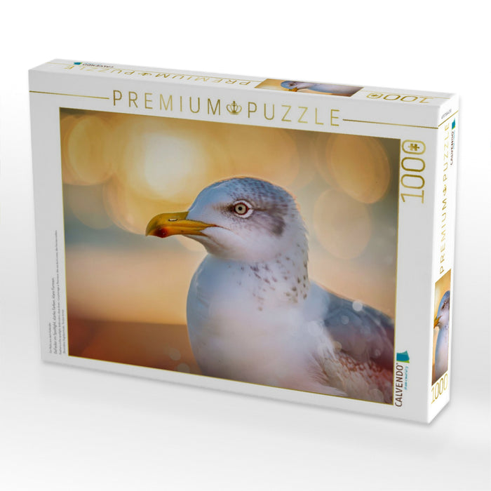 Gefieder im Spotlight, starke Farben, klare Formen. - CALVENDO Foto-Puzzle'