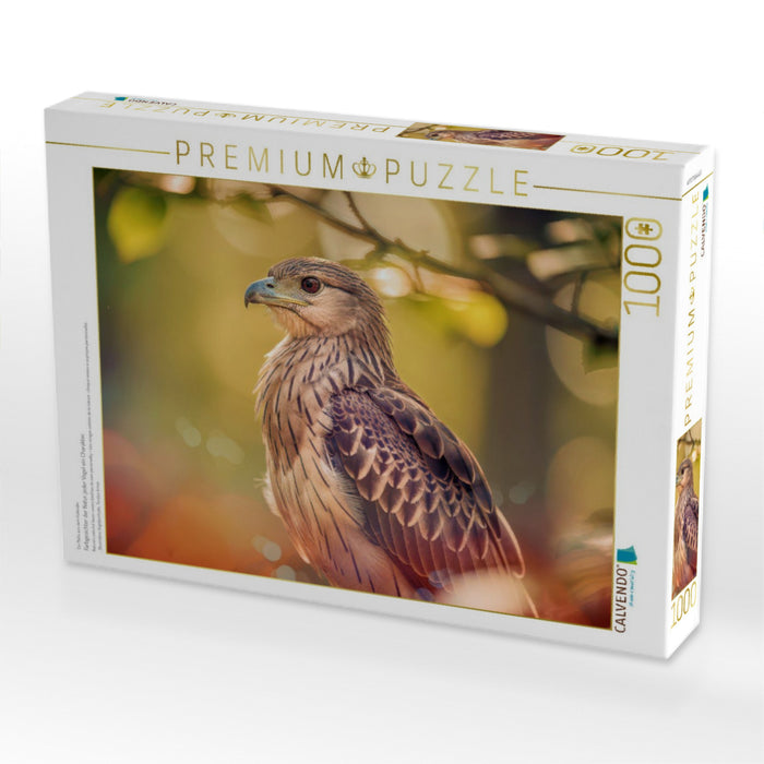 Farbgesichter der Natur, jeder Vogel ein Charakter. - CALVENDO Foto-Puzzle'