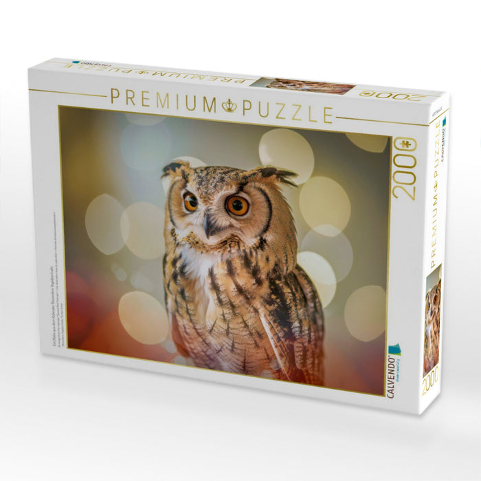 Ein Motiv aus dem Kalender Besondere Vogelportraits - CALVENDO Foto-Puzzle'