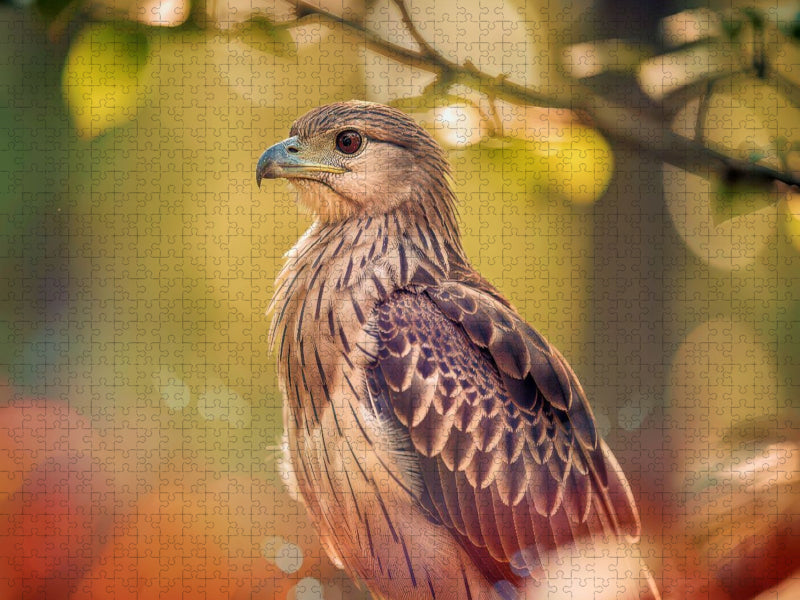 Farbgesichter der Natur, jeder Vogel ein Charakter. - CALVENDO Foto-Puzzle'