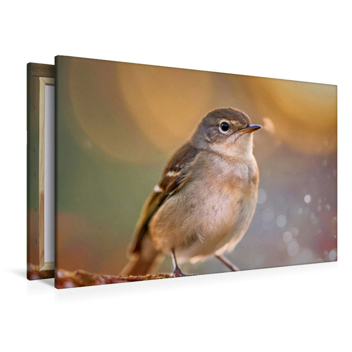 Premium Textil-Leinwand Farben zum Verlieben, Natur, die gute Laune macht.