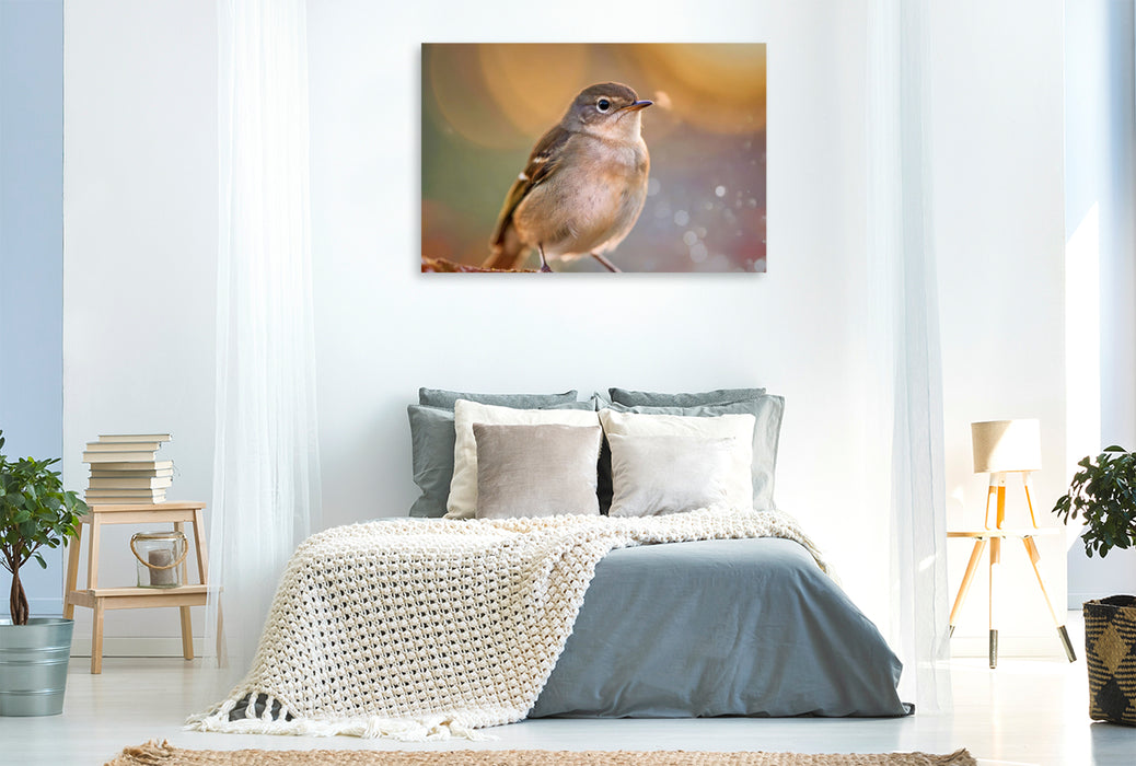 Premium Textil-Leinwand Farben zum Verlieben, Natur, die gute Laune macht.