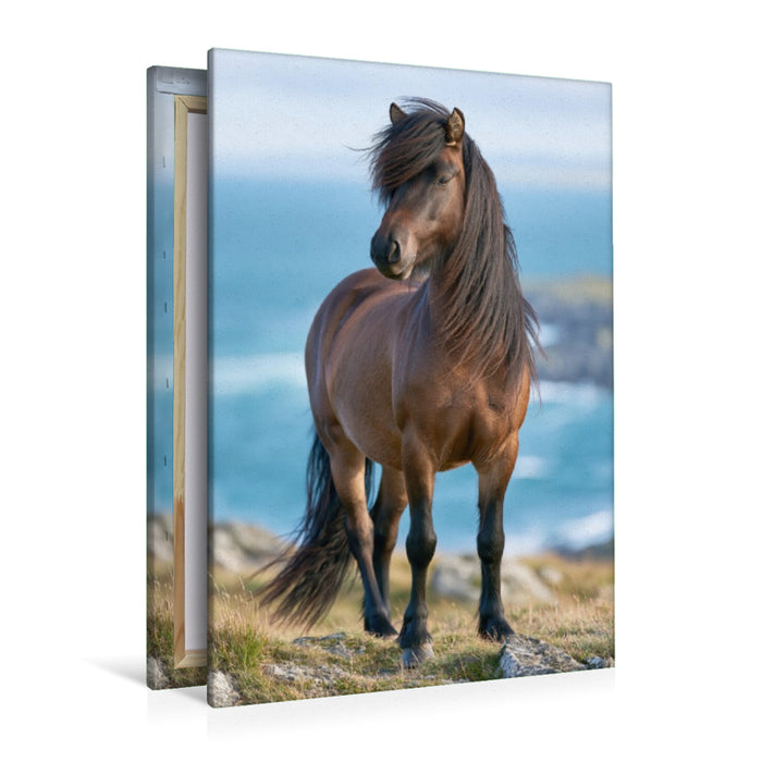 Premium Textil-Leinwand Ein Motiv aus dem Kalender Islands wilde Pferde
