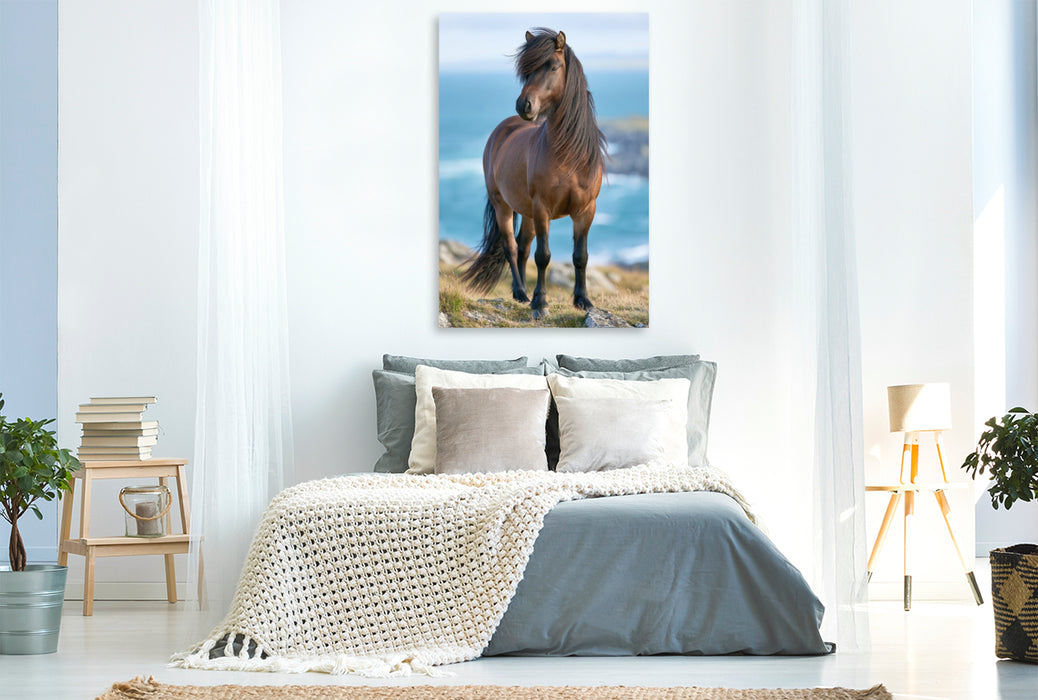 Premium Textil-Leinwand Ein Motiv aus dem Kalender Islands wilde Pferde