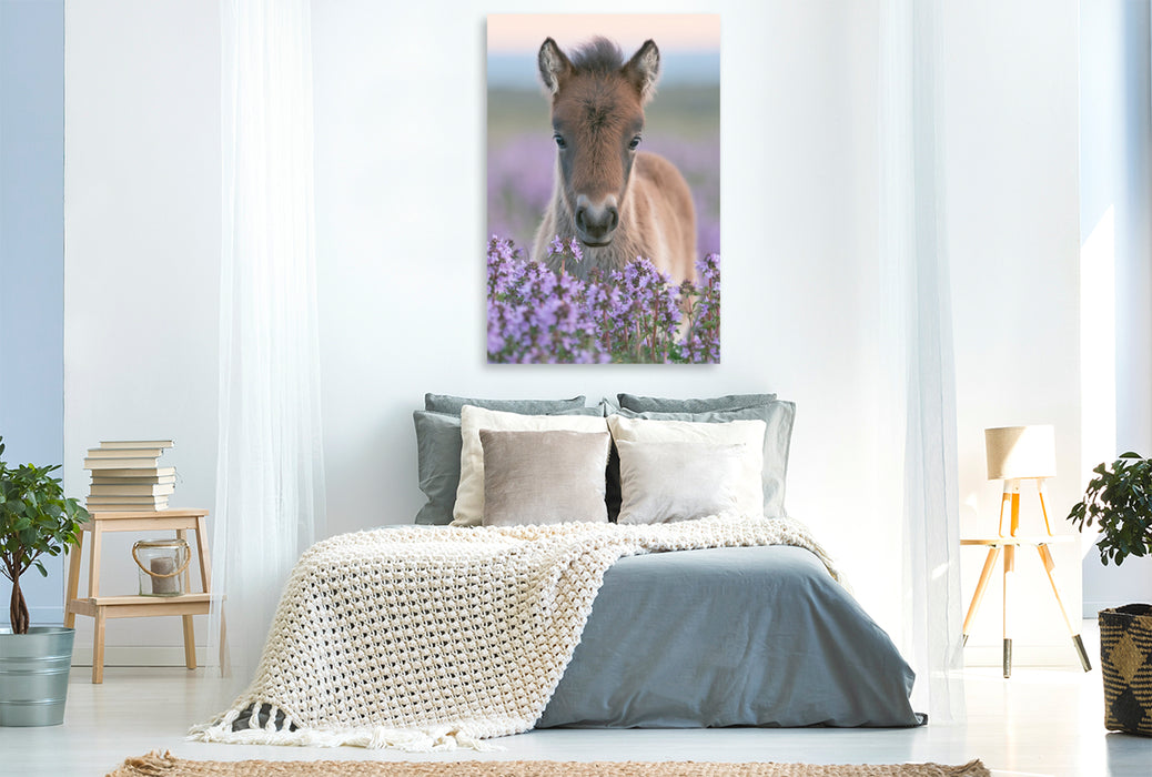 Premium Textil-Leinwand Kleine Hufe, großes Herz