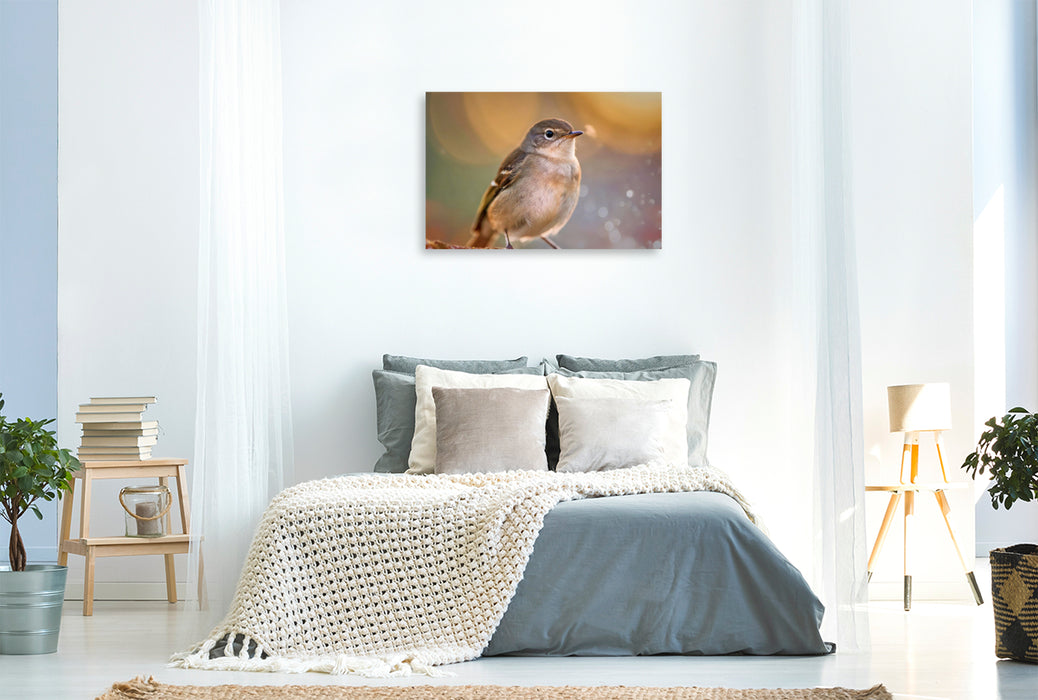 Premium Textil-Leinwand Farben zum Verlieben, Natur, die gute Laune macht.