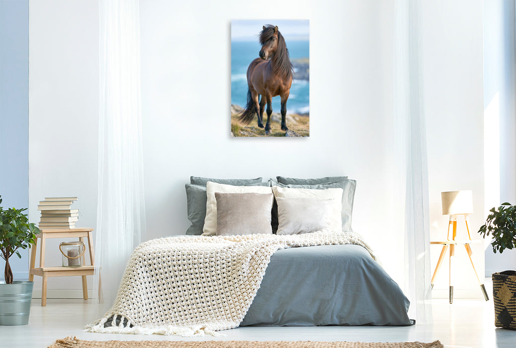 Premium Textil-Leinwand Ein Motiv aus dem Kalender Islands wilde Pferde