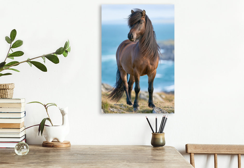 Premium Textil-Leinwand Ein Motiv aus dem Kalender Islands wilde Pferde