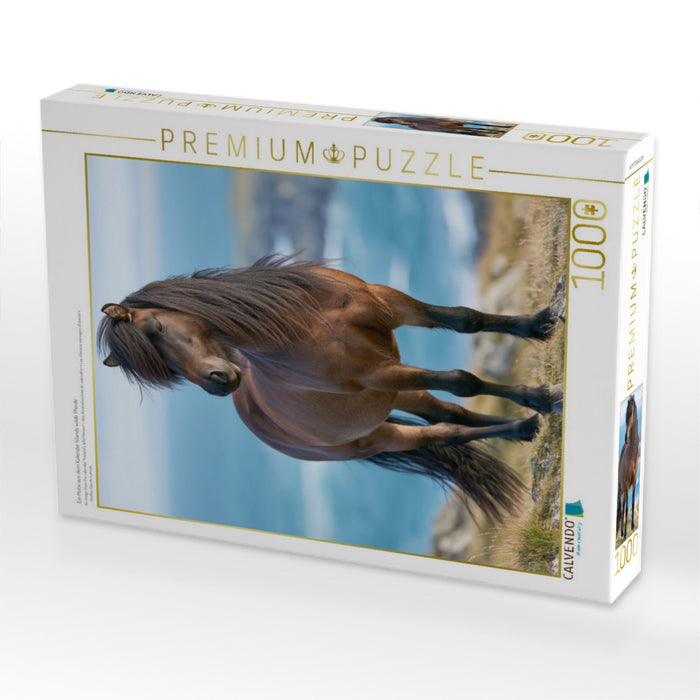 Ein Motiv aus dem Kalender Islands wilde Pferde - CALVENDO Foto-Puzzle'