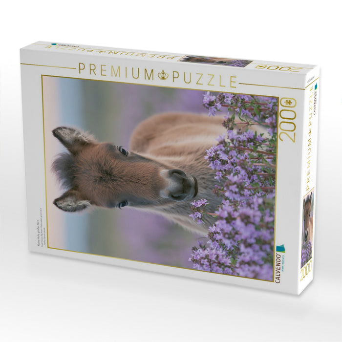 Kleine Hufe, großes Herz - CALVENDO Foto-Puzzle'
