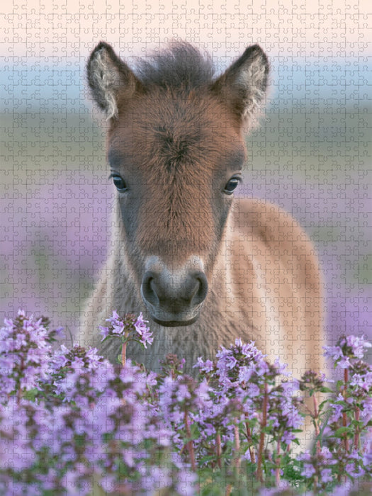 Kleine Hufe, großes Herz - CALVENDO Foto-Puzzle'