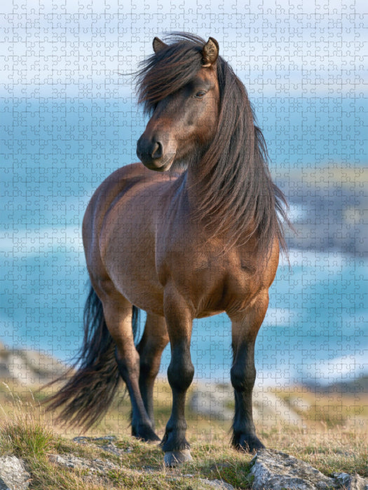 Ein Motiv aus dem Kalender Islands wilde Pferde - CALVENDO Foto-Puzzle'