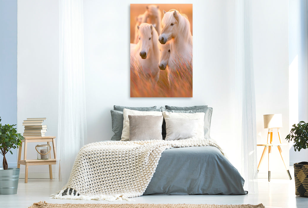 Premium Textil-Leinwand Ein Motiv aus dem Kalender Islands wilde Pferde