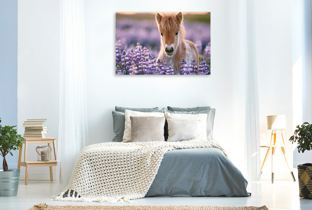 Premium Textil-Leinwand Sommer voller Glücksmomente