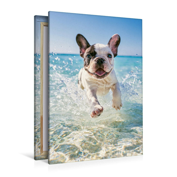 Premium Textil-Leinwand Pfoten im Sand und Meer