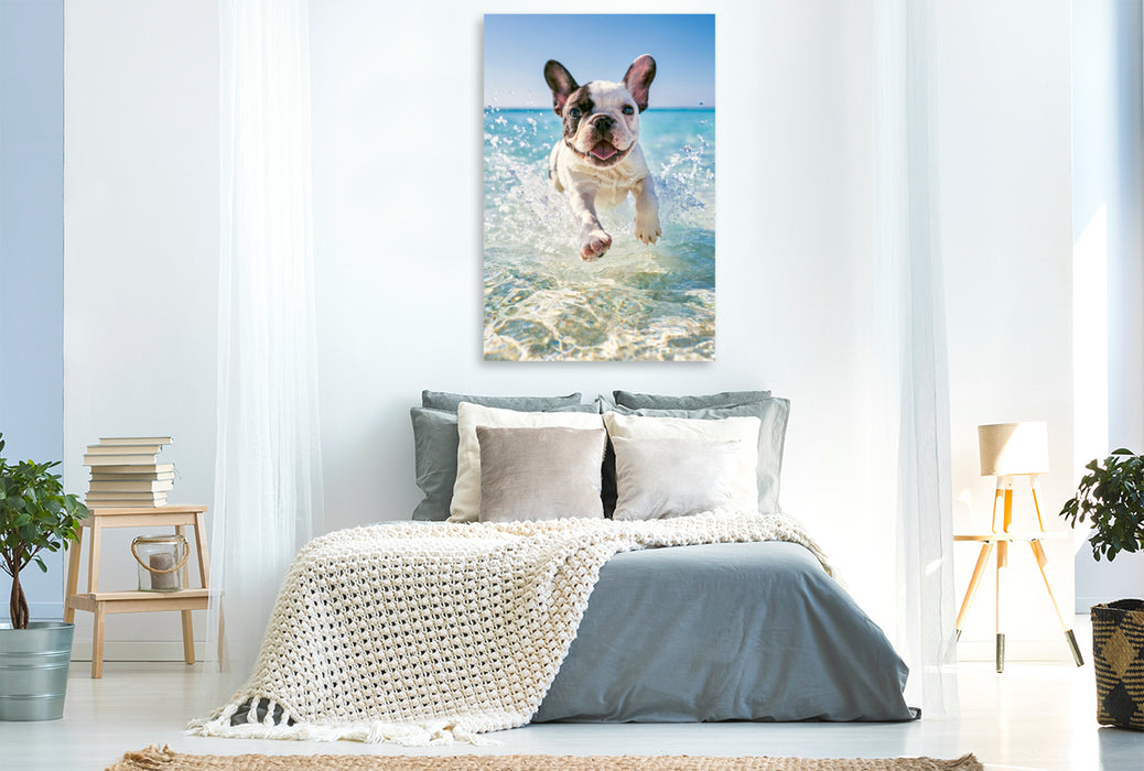 Premium Textil-Leinwand Pfoten im Sand und Meer