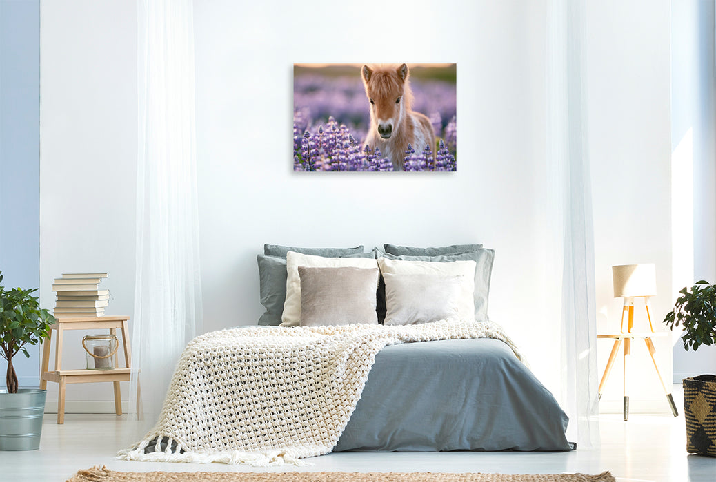 Premium Textil-Leinwand Sommer voller Glücksmomente