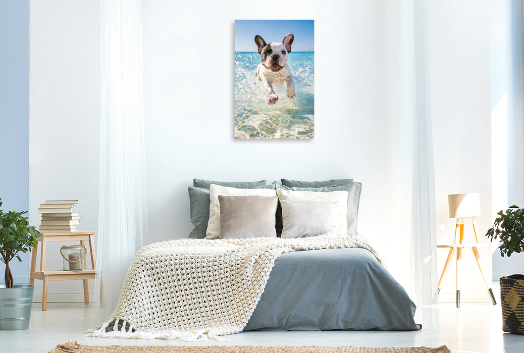 Premium Textil-Leinwand Pfoten im Sand und Meer