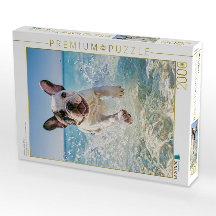 Pfoten im Sand und Meer - CALVENDO Foto-Puzzle'