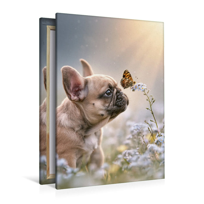 Premium Textil-Leinwand Ein Motiv aus dem Kalender Ein Herz für Buldoggen