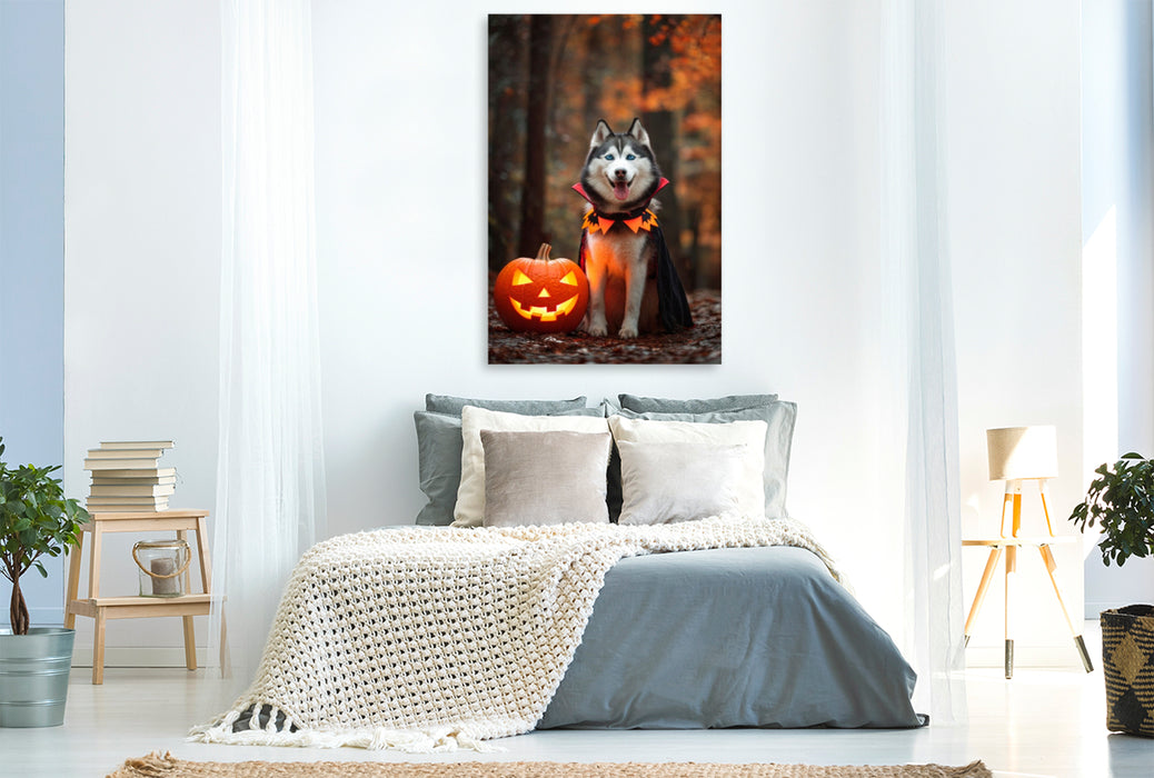 Premium Textil-Leinwand Husky - Halloween im Herbstwald