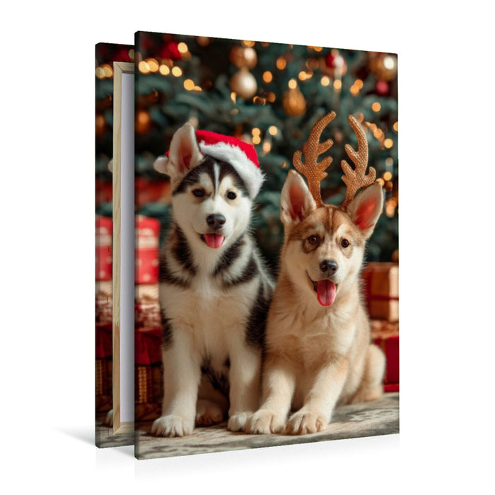 Premium Textil-Leinwand Husky - Zauberhafte Weihnachtszeit