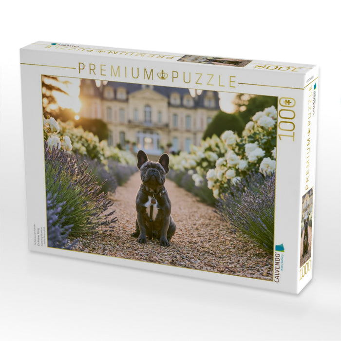 Ein kleiner König - CALVENDO Foto-Puzzle'