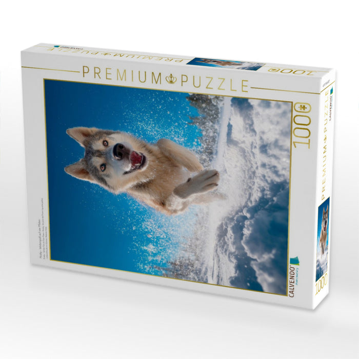Husky - Winterspaß auf vier Pfoten - CALVENDO Foto-Puzzle'