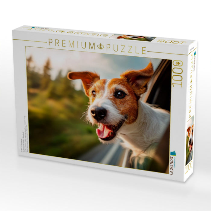 Jack Russell Terrier - Reiselust - CALVENDO Foto-Puzzle'