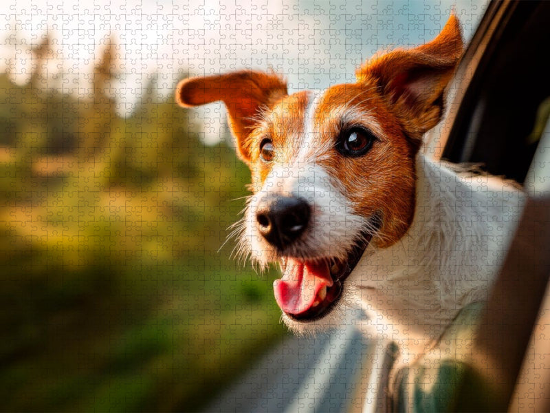Jack Russell Terrier - Reiselust - CALVENDO Foto-Puzzle'