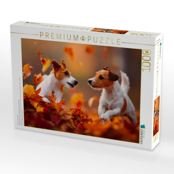 Jack Russell Terrier - Abenteuer im bunten Laub - CALVENDO Foto-Puzzle'