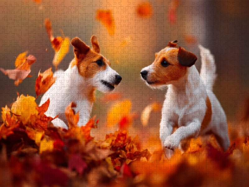 Jack Russell Terrier - Abenteuer im bunten Laub - CALVENDO Foto-Puzzle'