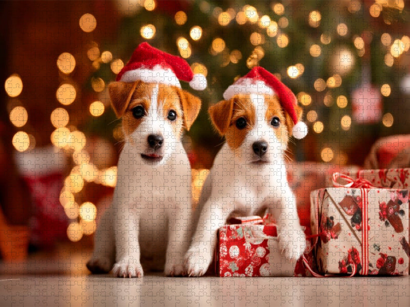 Jack Russell Terrier - Kleine Weihnachtsengel - CALVENDO Foto-Puzzle'