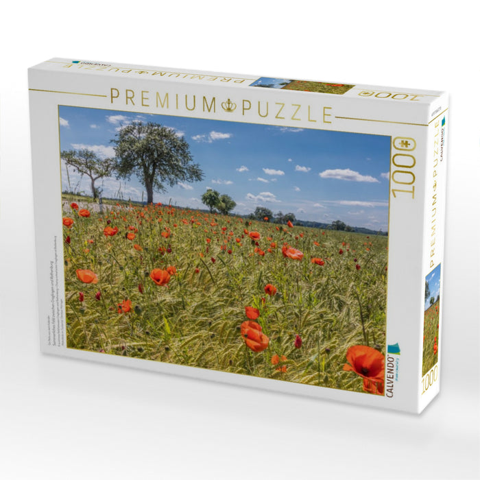 Sommerliches Feld zwischen Creglingen und Rothenburg - CALVENDO Foto-Puzzle'